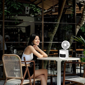 Chauffage <span class=keywords><strong>de</strong></span> bureau extérieur à double usage chaud et froid en gros, petits radiateurs électriques domestiques - Product Image 2