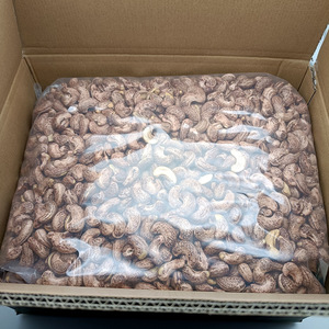 <span class=keywords><strong>เม็ด</strong></span><span class=keywords><strong>มะม่วงหิมพานต์</strong></span><span class=keywords><strong>อบ</strong></span>แห้งเปลือกสีม่วง A170 A180 ธรรมชาติ 100% ขายส่งจากโรงงาน <span class=keywords><strong>ราคา</strong></span><span class=keywords><strong>ส่ง</strong></span>ตรง 8000 ดอลลาร์/ตัน  บริษัท อันฮุย ฟูลี่ ฮอลล์ - Product Image 2