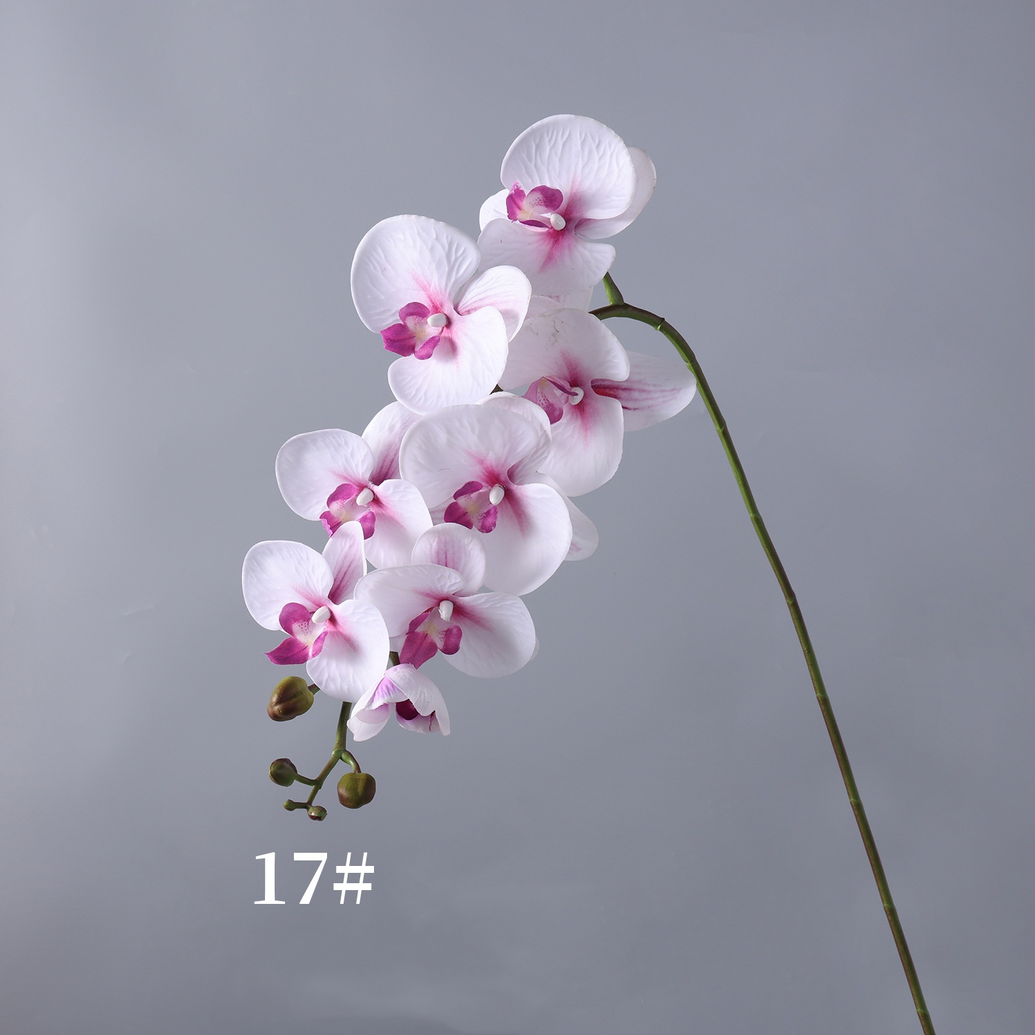 White pink