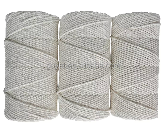 Kunden spezifische natürliche Farbe 3 Stränge 14mm Baumwoll seil Twist Seil für Wandbehang oder Pflanzen hängen Display Box Pcs