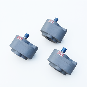Pompe à huile de marche arrière CB-B, modèles CB-B16F, CB-B20F, CB-B32F, en fonte, pour lubrification et transfert d'huile - Product Image 1
