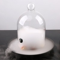 Cloche en verre borosilicate de haute qualité, cloche à fumer, dôme avec base pour cocktails ou cuisine artistique