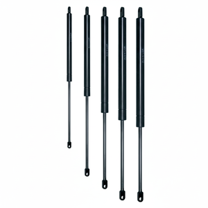 C 450 Carrera F 200 N CILINDRO OLEOPNEUMÁTICO (VO45/020) - Product Image 1