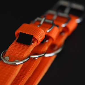 OEM <span class=keywords><strong>2</strong></span> pulgadas táctico perro <span class=keywords><strong>Collar</strong></span> acolchado <span class=keywords><strong>Martingale</strong></span> media Correa galgo collares Material de nailon remache personalizable impresión <span class=keywords><strong>Collar</strong></span> para mascotas - Product Image 4