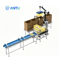 Robot Colaborativo para Empacar Cajas, Empacador Automático de Cajas de Cartón para Línea de Empaquetado de Alimentos y Bebidas