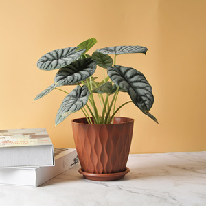 Pots de fleurs <span class=keywords><strong>en</strong></span> plastique pour l'extérieur <span class=keywords><strong>pot</strong></span> de fleurs léger et durable ensemble de table <span class=keywords><strong>pot</strong></span> de fleurs décoratif d'intérieur vente <span class=keywords><strong>en</strong></span> gros - Product Image 2