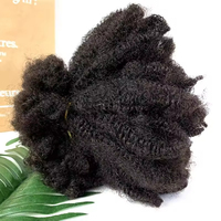Cheveux humains Afro bouclés Marley en vrac, boucles Afro crépues pour tresses torsadées, locs et tresses au crochet, cheveux à tresser humains 4a/ 4b/ 4c