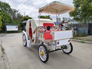 Produits en promotion : Chariot de chevaux électrique d'extérieur HengYiSheng pour 6 personnes avec toit, idéal pour mariages romantiques - Henan - Product Image 1