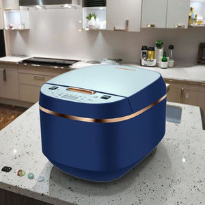 Cuiseur à riz électrique de luxe 5L Golden Square Mini palette multifonctionnelle Caractéristiques haut de gamme Plastique pour usage domestique Promotionnel - Product Image 4