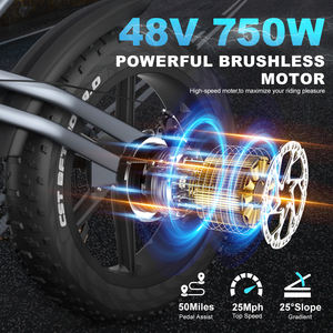 Jansno X50 750W vélo de ville électrique 48V 14Ah 20 "x 4" gros pneu meilleur vélo électrique pour ville et montagne disponible US/EU - Product Image 4