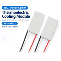 Plaque de refroidissement thermoélectrique Peltier TES1-03102 TEC, module chaud/froid pour équipement de beauté, fourniture directe d'usine
