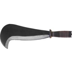 BILLBOW TIPO 'MAREMMA' 29 cm - Product Image 2