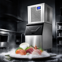 Commerciële ijsmachine voor gemalen ijs, 800 kg per dag, CE-gecertificeerd, grote capaciteit, energiezuinig, fijn ijs, snelle productie voor visbuffetrestaurants