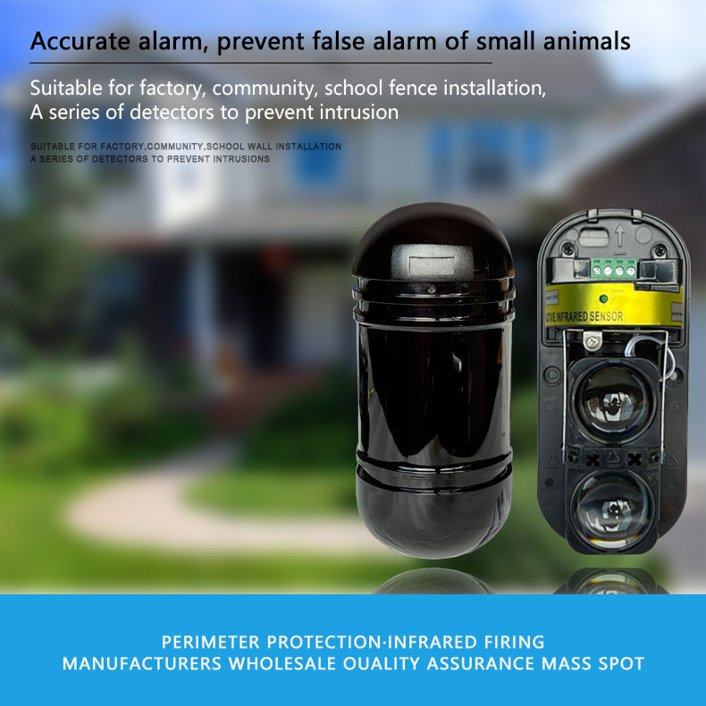 security system and alarm for home