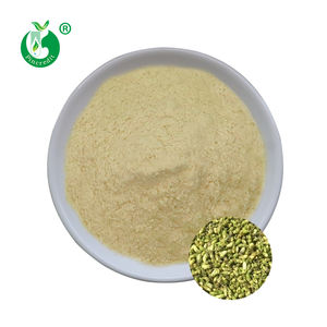 Atacado a granel rutin <span class=keywords><strong>quercetin</strong></span> <span class=keywords><strong>kaempferol</strong></span> ingredientes ativos sophora japonica extrato - Product Image 1
