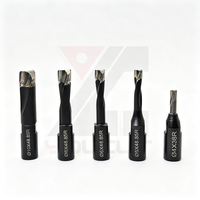 Lot de 5 forets en carbure monobloc 4/5/6/8/10 mm, embouts de précision pour le travail du bois (bois tendre et dur, MDF et contreplaqué) pour perceuse à main