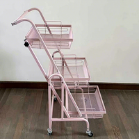 Étagère de rangement parallèle mobile pliable sur roulettes, support à trois niveaux en acier au carbone pour collations et plantes succulentes, pour salon