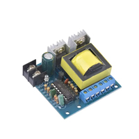 Module micro-onduleur DC-AC 150W, convertisseur DC 12V/24V en AC 110V/172V/200V/220V, module d'alimentation boost pour le bricolage et le camping