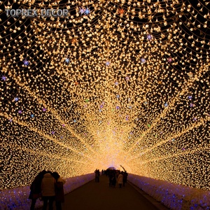 Toprex Décor Personnalisé Grand Or LED Éclairé Fleur Arc De Mariage De Noël Holidays-IP65 <span class=keywords><strong>RGB</strong></span> Rose Blanc Rouge Blanc Chaud Violet - Product Image 2