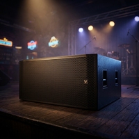 TP221H Enceintes professionnelles Audio professionnel pour performances en extérieur Subwoofer passif double 21 pouces pour petites et moyennes structures