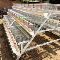 Cage à poules automatique en acier galvanisé à chaud avec système de collecte des œufs pour l'équipement d'élevage avicole