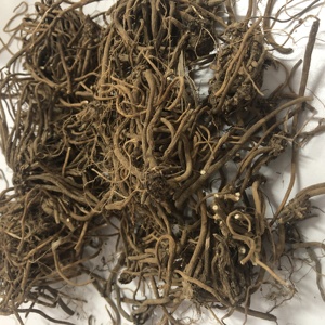 1019 approvisionnement direct d'usine en <span class=keywords><strong>vrac</strong></span> Valeriana officinalis racine de valériane - Product Image 3
