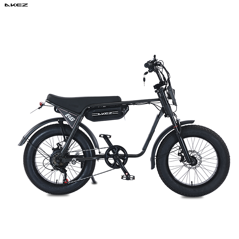 【mimi】ZG Super Ebike ZX Z1 Z ZG Miami 73 Adventure Bicycle 52 Volt
