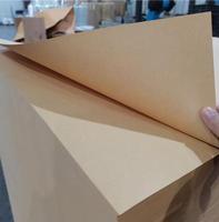 High Srength 80gsm Sack Craft Paper with 10g Pe Coated for Cement