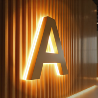 Enseigne LED 3D personnalisée pour entreprise, enseigne rétroéclairée, enseigne lumineuse en acier inoxydable, enseigne 3D en lettres, logo de magasin, enseigne de canal commercial