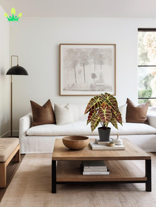 Pianta artificiale vera e propria tocco pianta di Alocasia <span class=keywords><strong>in</strong></span> <span class=keywords><strong>vaso</strong></span> nero pianta d'<span class=keywords><strong>appartamento</strong></span> per mensola <span class=keywords><strong>da</strong></span> tavolo centrotavola casa fattoria decorazioni per la casa - Product Image 3