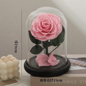 Rosas Eternas Preservadas en Cúpula de Cristal para Regalo de San Valentín/Navidad y Graduación 2026, Venta al Por Mayor - Product Image 6