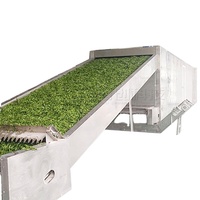 Automatische droogmachine voor gedroogd fruit met gaasband, 10 ton, geschikt voor dadelpalmen, groene pruimen, loganfruit, met warmtepomp.