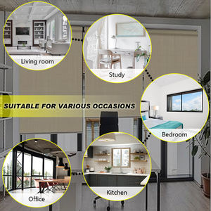 Raex Tubular <strong>Motor</strong> TQL25 Modern <strong>Roller</strong> <strong>Motor</strong> Light Grey Electric <strong>Roller</strong> Blind <strong>Motor</strong> Motorized <strong>Roller</strong> Blinds - Product Image 6