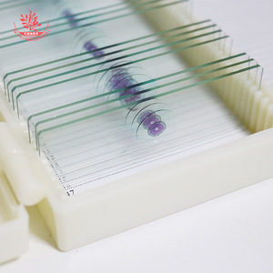 Producción de portaprobos de vidrio, departamentos de investigación científica, trabajos de investigación de estudiantes de posgrado de la escuela de medicina, envío de muestras. - Product Image 2
