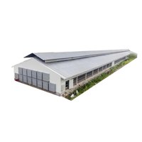 Conception de ferme avicole, plan de ferme d'élevage de poules pondeuses, plan d'affaires, bâtiment en structure métallique pour le Kenya
