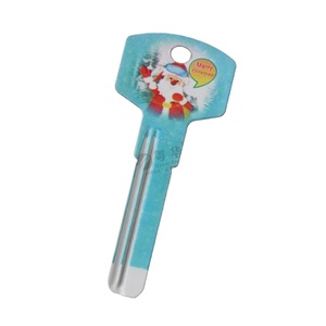 Casa sin cortar espacios en blanco clave <span class=keywords><strong>cerrajero</strong></span> suministros casa teclas en blanco - Product Image 1