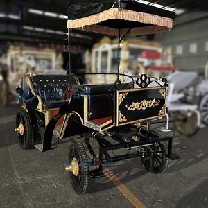 Carruaje Eléctrico Negro de Turismo con Detalles en Dorado y Toldo para Transporte de Turistas - Product Image 4