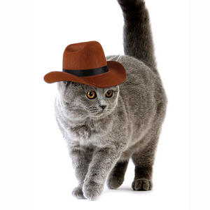 Chapeau de Cowboy en Polyester pour animaux de compagnie en feutre de fourrure occidentale classique pour les fêtes de chiens et de chats pour les saisons de printemps, d'été et d'hiver - Product Image 4