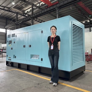 Groupes électrogènes diesel silencieux 200 kW 300 kVA 300 kW 315 kVA 350 kVA, Groupe électrogène diesel 250 kW 312,5 kVA, Groupe électrogène à <span class=keywords><strong>moteur</strong></span> <span class=keywords><strong>Stirling</strong></span> - Product Image 2
