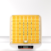 Incubateur d'Œufs 50 Positions EW-56S avec Plateau en Plastique et Testeur, pour Revente