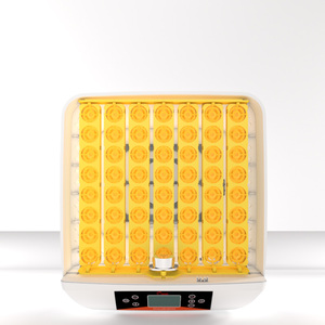 Incubatrice per <span class=keywords><strong>50</strong></span> Uova EW-56S con Vassoio in Plastica e Tester per la Rivendita - Product Image 4