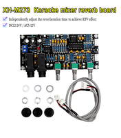 Module de préamplificateur et de mixage pour karaoké XH-M273 avec double microphone pour KTV et audio domestique