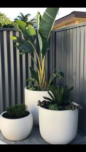 Pots <span class=keywords><strong>de</strong></span> fleurs pour la maison, décoration intérieure, jardinières, pots <span class=keywords><strong>de</strong></span> jardin extérieurs, pots <span class=keywords><strong>de</strong></span> plantes en fibre <span class=keywords><strong>de</strong></span> verre, jardinière nordique grande taille, carton CLASSIQUE, cylindre - Product Image 6