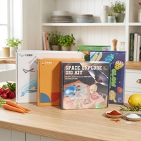 Boîte d'expédition en carton ondulé personnalisée, imprimée en quatre couleurs, biodégradable, écologique, en forme d'avion, avec pelliculage brillant, faible MOQ 500 pièces