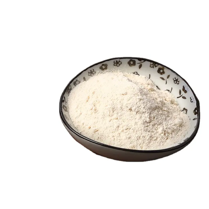 The Garlic Powder Made By Elephant Garlic With Good Garlic Price