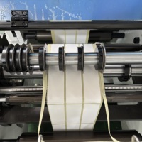 Machine de découpe de labels semi-rotative Rotation complète et découpeuse rotative intermittente avec moteur servo Cylindre magnétique