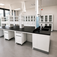 Banc de laboratoire en acier pour l'industrie de l'IA, table de travail résistante aux acides et aux alcalis avec étagères à réactifs et armoire de rangement sous le plan.