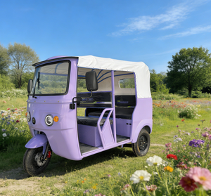 Vente directe d'usine chinoise, <span class=keywords><strong>meilleur</strong></span> prix, tricycle électrique, E-Trike, deux rangées - Product Image 5