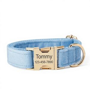 Collier et laisse pour chien personnalisés avec nom gravé, boucle en métal bleu ciel, clochette et nœud, livraison gratuite - Product Image 1
