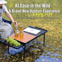 Table pliante portable à double aile avec plateau imitation bois et panneau en maille, idéale pour le camping, la pêche, la plage, les barbecues et les terrasses.